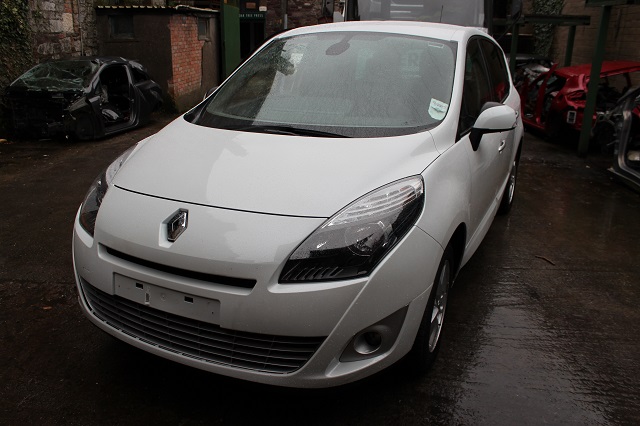 Renault Scenic Door Check Strap Front Passengers Side -  - Renault Scenic 2011 Diesel 1.5L 2010--2016 Manual 6 Speed 5 Door Electric Windows Front & Rear, Alloy Wheels, White
